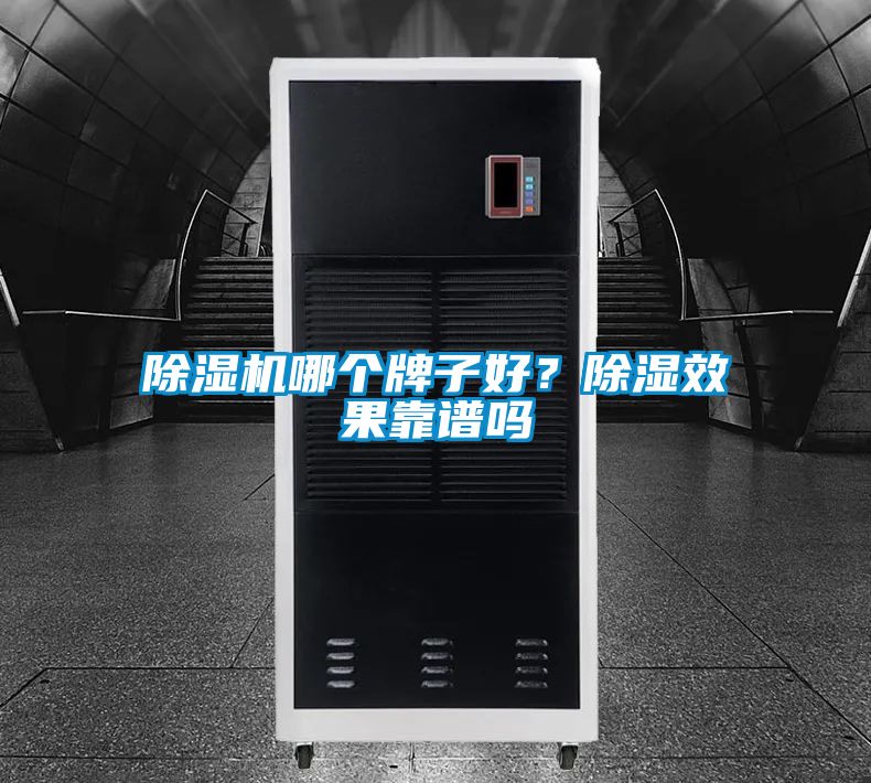 除濕機(jī)哪個牌子好<div   id=