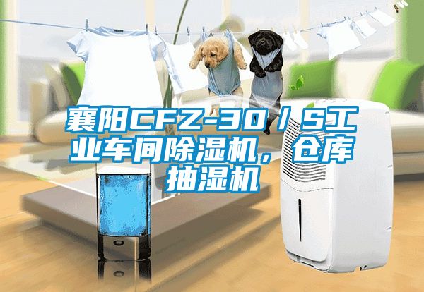 襄陽CFZ-30／S工業(yè)車間除濕機<div   id=