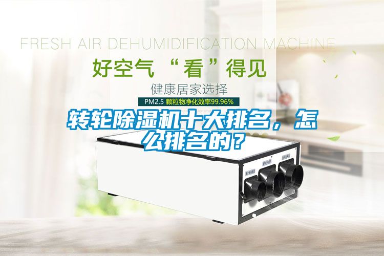 轉輪除濕機十大排名<div   id=