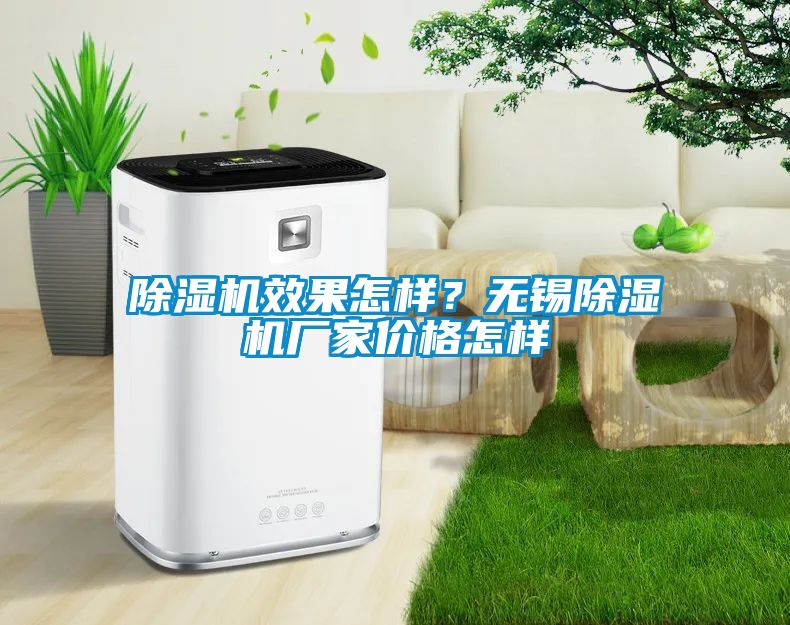 除濕機(jī)效果怎樣？無錫除濕機(jī)廠家價格怎樣