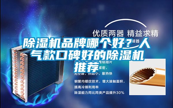 除濕機(jī)品牌哪個好?人氣款口碑好的除濕機(jī)推薦