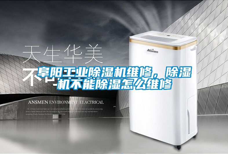 阜陽工業(yè)除濕機維修<div   id=