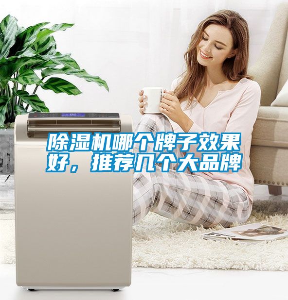 除濕機(jī)哪個牌子效果好<div   id=
