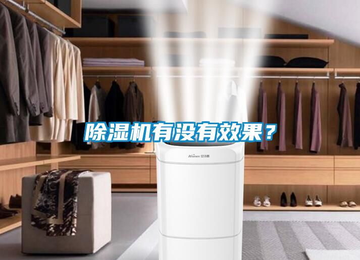 除濕機(jī)有沒有效果<div   id=