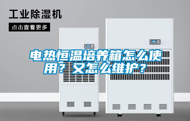 電熱恒溫培養(yǎng)箱怎么使用？又怎么維護(hù)<div   id=