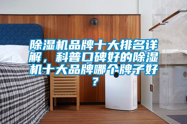 除濕機(jī)品牌十大排名詳解，科普口碑好的除濕機(jī)十大品牌哪個(gè)牌子好<div   id=