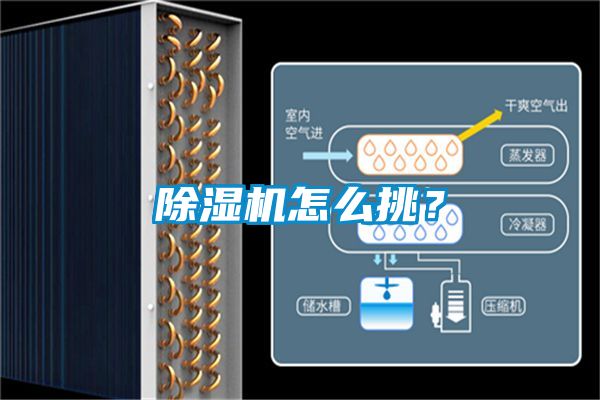 除濕機怎么挑<div   id=