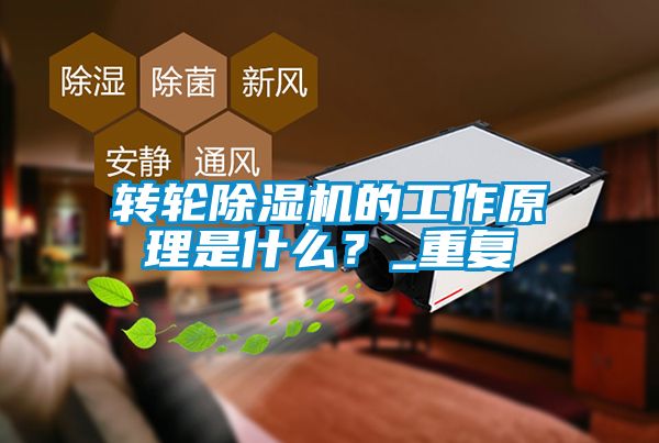 轉(zhuǎn)輪除濕機的工作原理是什么<div   id=