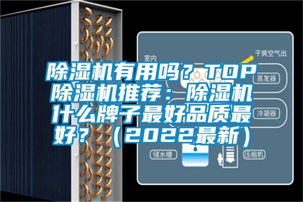 除濕機有用嗎？TOP除濕機推薦：除濕機什么牌子最好品質(zhì)最好<div   id=