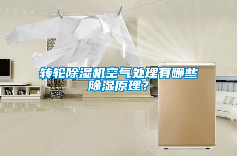 轉(zhuǎn)輪除濕機(jī)空氣處理有哪些除濕原理<div   id=