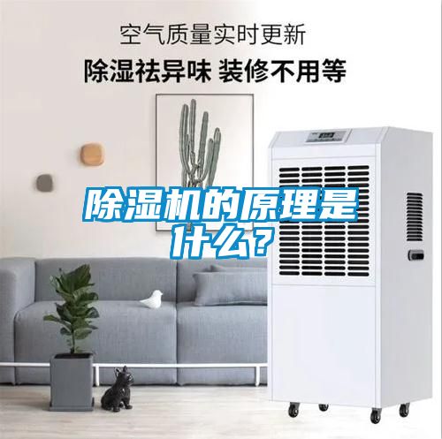 除濕機(jī)的原理是什么<div   id=