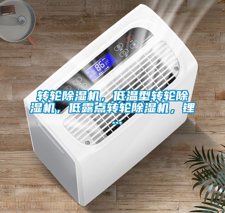 轉(zhuǎn)輪除濕機(jī)，低溫型轉(zhuǎn)輪除濕機(jī)<div   id=