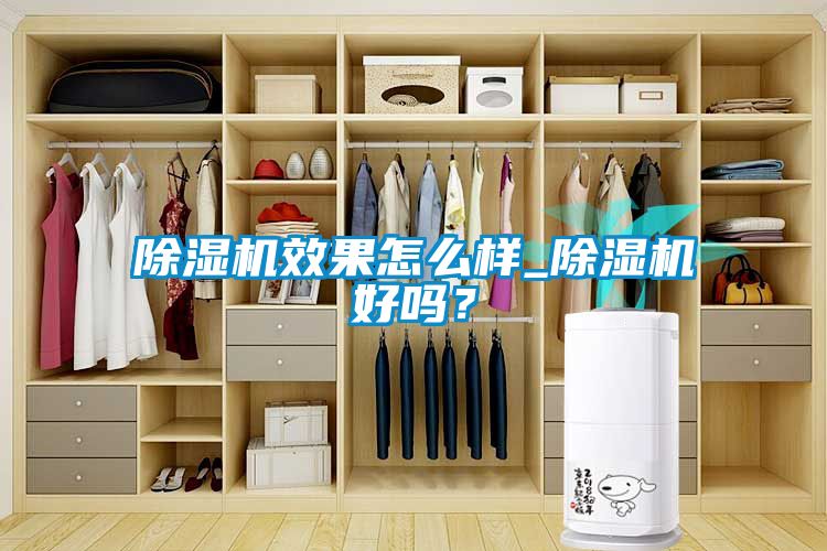 除濕機效果怎么樣_除濕機好嗎<div   id=