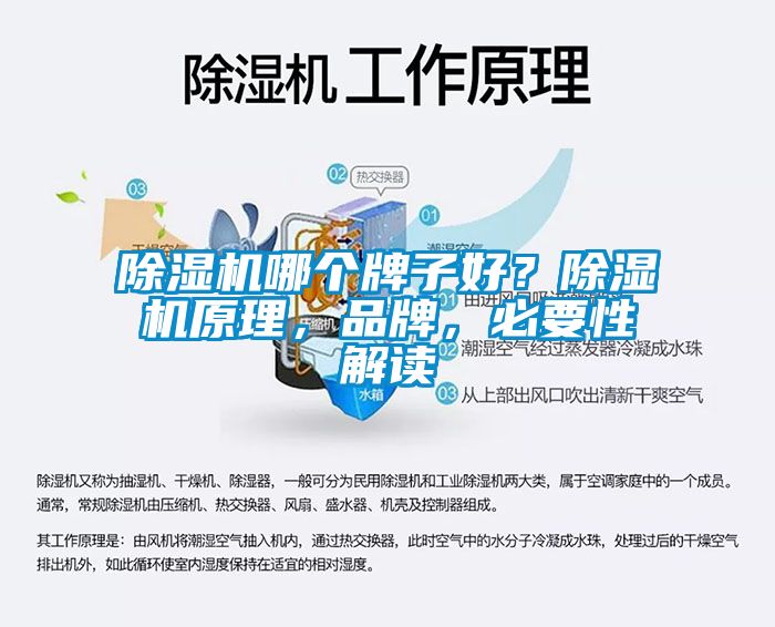 除濕機(jī)哪個(gè)牌子好<div   id=
