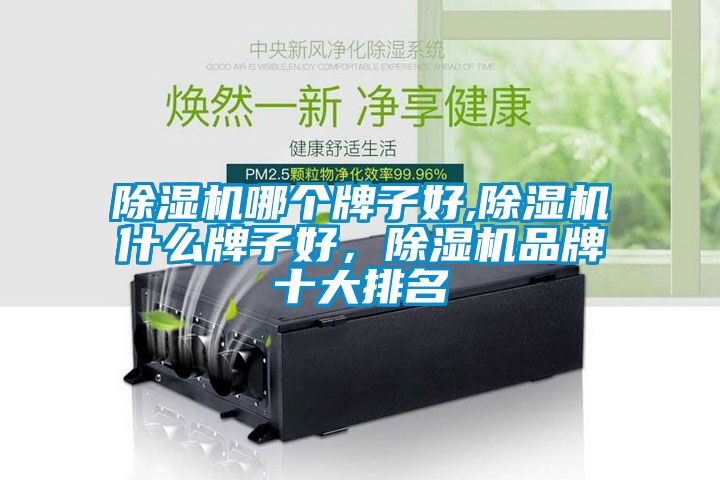 除濕機(jī)哪個(gè)牌子好,除濕機(jī)什么牌子好<div   id=