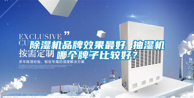 除濕機(jī)品牌效果最好 抽濕機(jī)哪個(gè)牌子比較好<div   id=