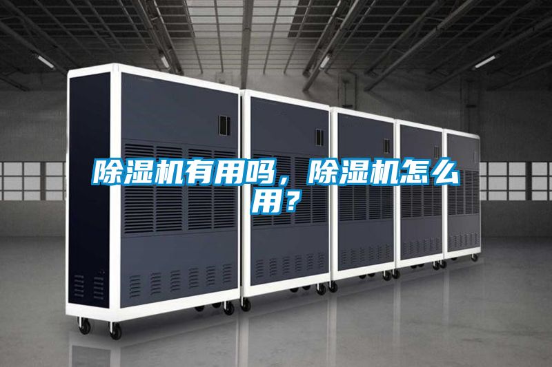 除濕機有用嗎<div   id=