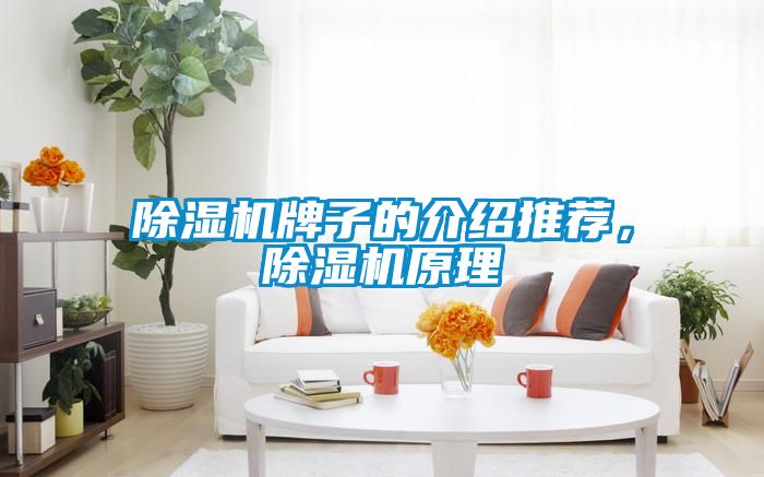 除濕機(jī)牌子的介紹推薦<div   id=