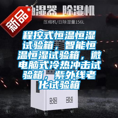 程控式恒溫恒濕試驗(yàn)箱<div   id=