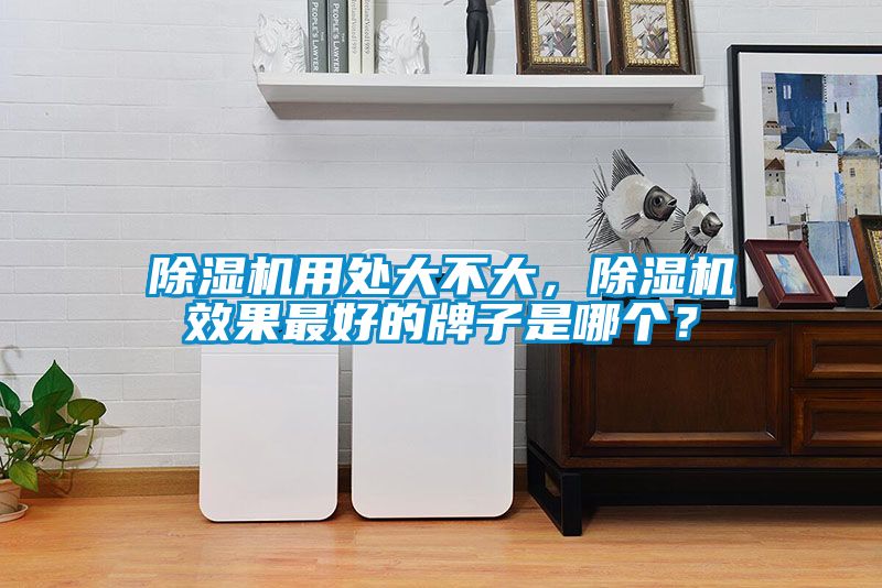除濕機(jī)用處大不大，除濕機(jī)效果最好的牌子是哪個(gè)？