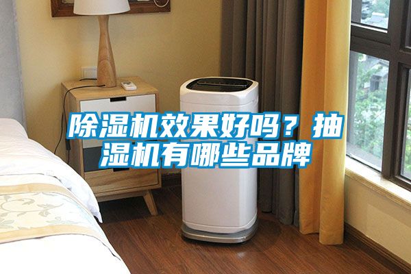 除濕機效果好嗎?抽濕機有哪些品牌