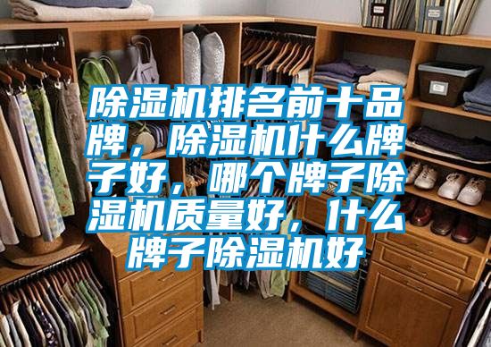 除濕機(jī)排名前十品牌，除濕機(jī)什么牌子好<div   id=