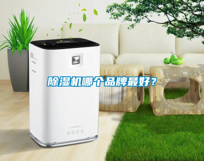除濕機哪個品牌最好<div   id=