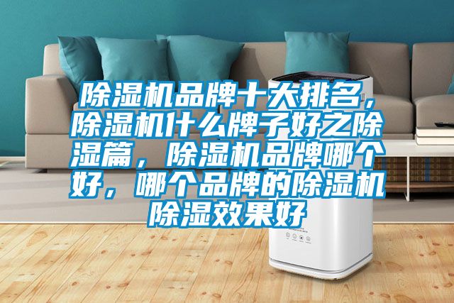 除濕機(jī)品牌十大排名<div   id=