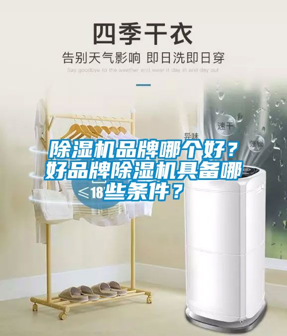 除濕機品牌哪個好？好品牌除濕機具備哪些條件<div   id=