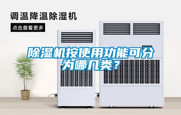 除濕機(jī)按使用功能可分為哪幾類(lèi)<div   id=