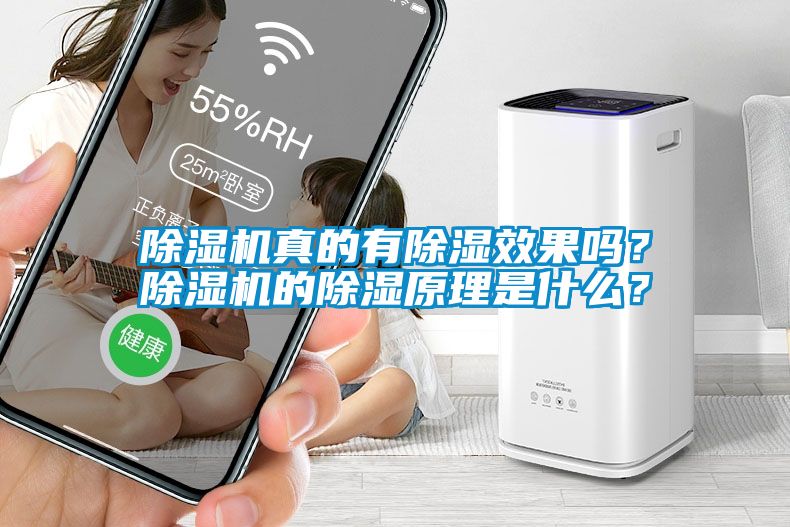 除濕機真的有除濕效果嗎？除濕機的除濕原理是什么<div   id=