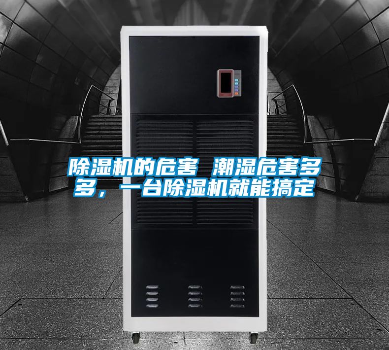 除濕機(jī)的危害 潮濕危害多多<div   id=
