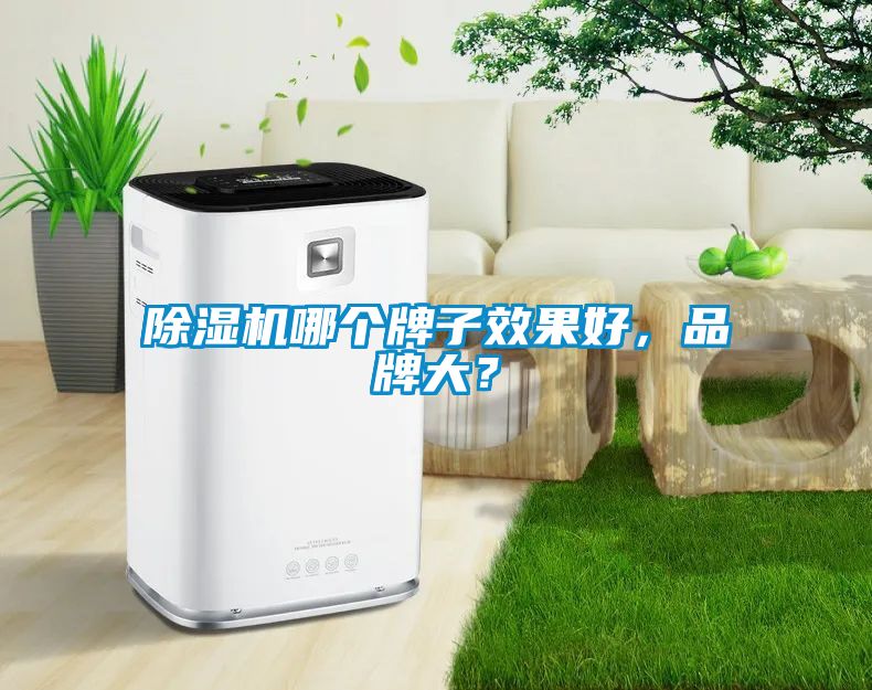 除濕機(jī)哪個牌子效果好<div   id=