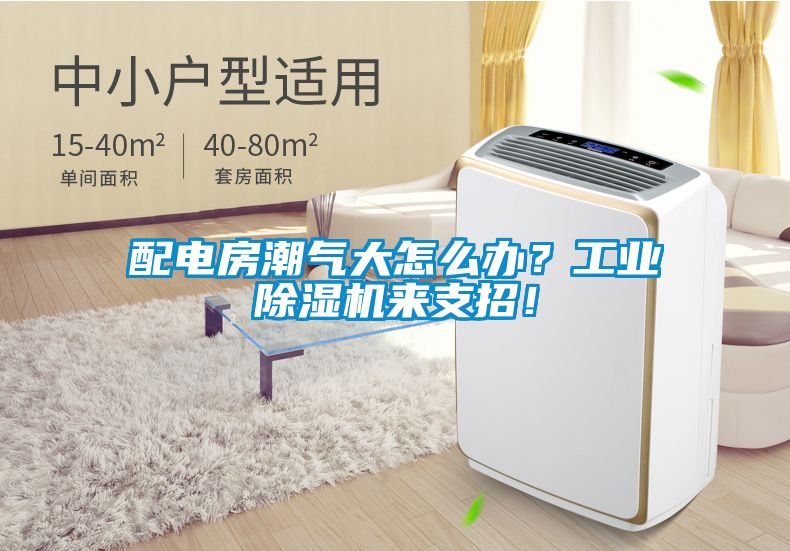 配電房潮氣大怎么辦？工業(yè)除濕機來支招<div   id=