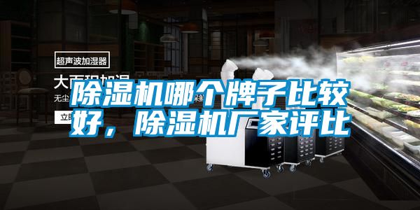 除濕機哪個牌子比較好<div   id=