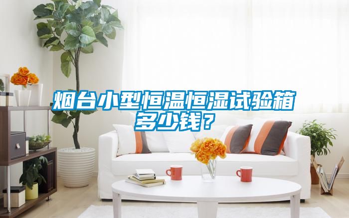 煙臺小型恒溫恒濕試驗箱多少錢?
