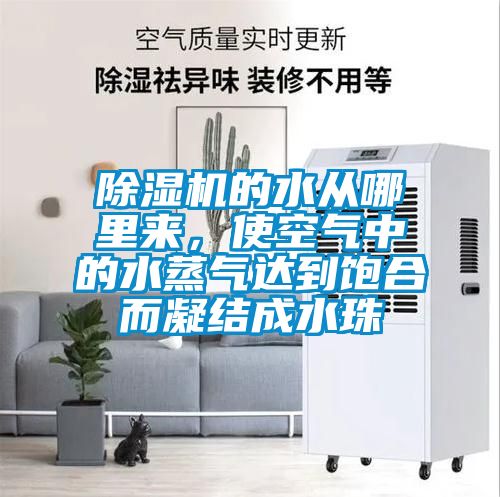 除濕機(jī)的水從哪里來<div   id=