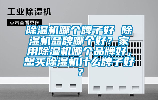 除濕機(jī)哪個(gè)牌子好 除濕機(jī)品牌哪個(gè)好<div   id=