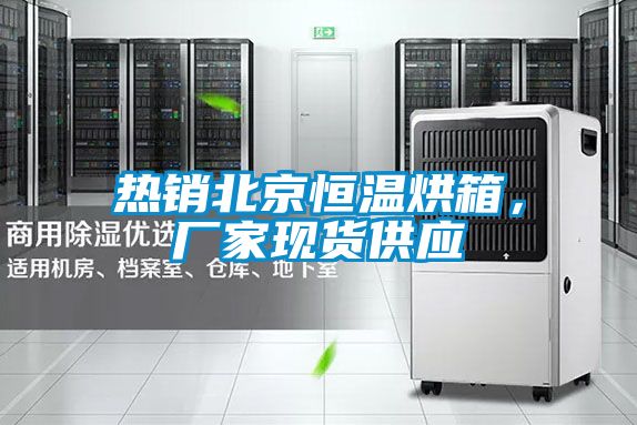 熱銷北京恒溫烘箱<div   id=