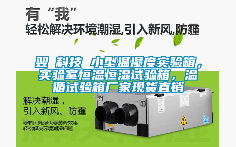 翌昇科技 小型溫濕度實(shí)驗(yàn)箱，實(shí)驗(yàn)室恒溫恒濕試驗(yàn)箱<div   id=