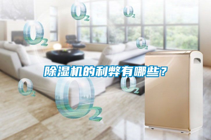 除濕機的利弊有哪些<div   id=