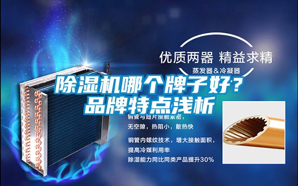 除濕機(jī)哪個(gè)牌子好<div   id=