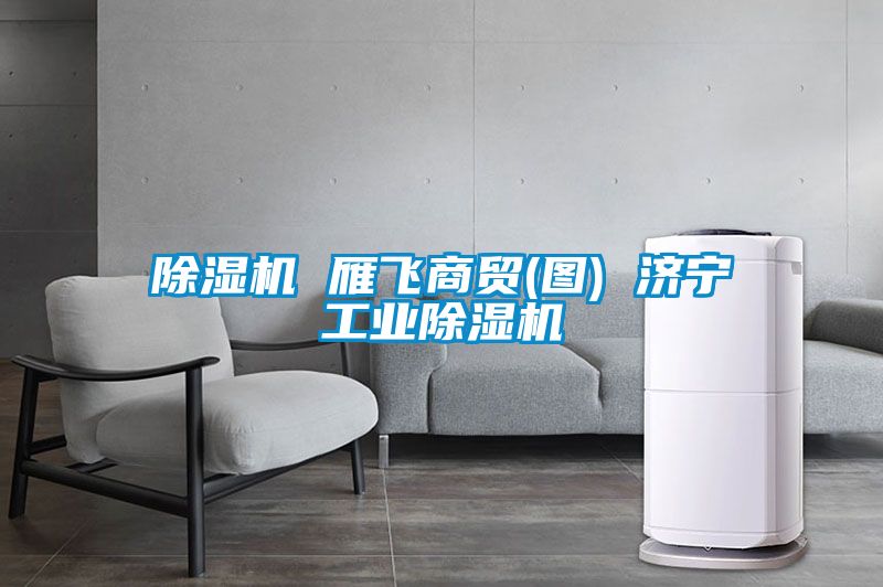 除濕機 雁飛商貿(mào)(圖) 濟(jì)寧工業(yè)除濕機