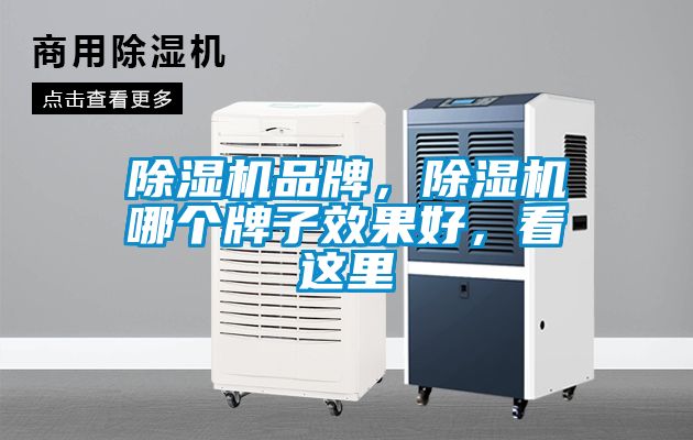 除濕機(jī)品牌，除濕機(jī)哪個(gè)牌子效果好，看這里