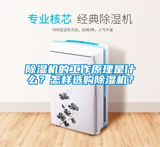 除濕機的工作原理是什么<div   id=
