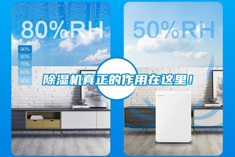 除濕機(jī)真正的作用在這里<div   id=