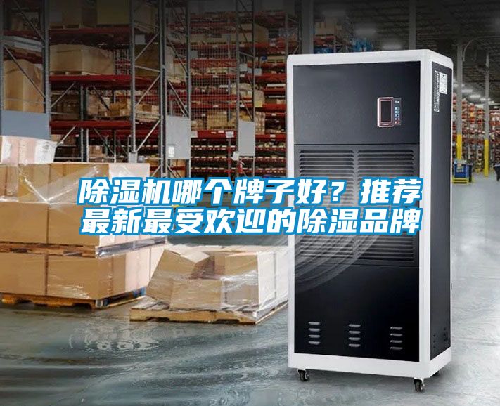 除濕機(jī)哪個(gè)牌子好<div   id=