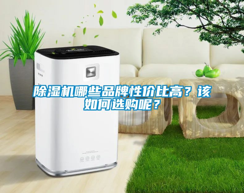 除濕機(jī)哪些品牌性價(jià)比高<div   id=