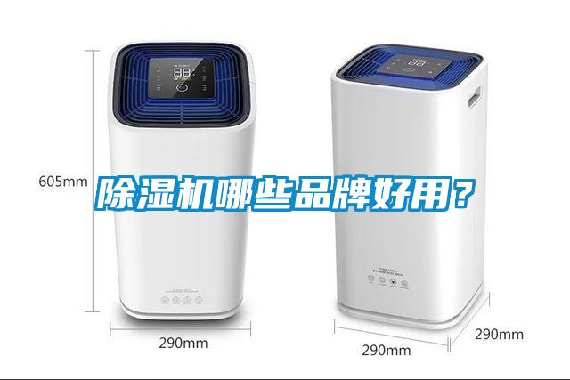 除濕機哪些品牌好用<div   id=