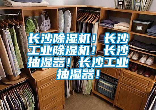 長沙除濕機！長沙工業(yè)除濕機<div   id=